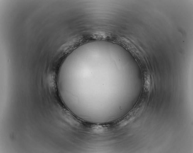 X0000112110616200908181349