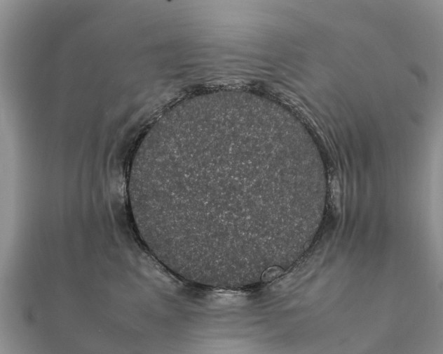 X0000112110617200908181349