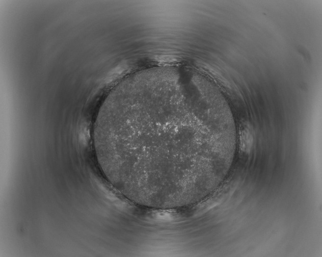 X0000112110618200908181349