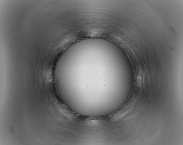 X0000112110620200908181349