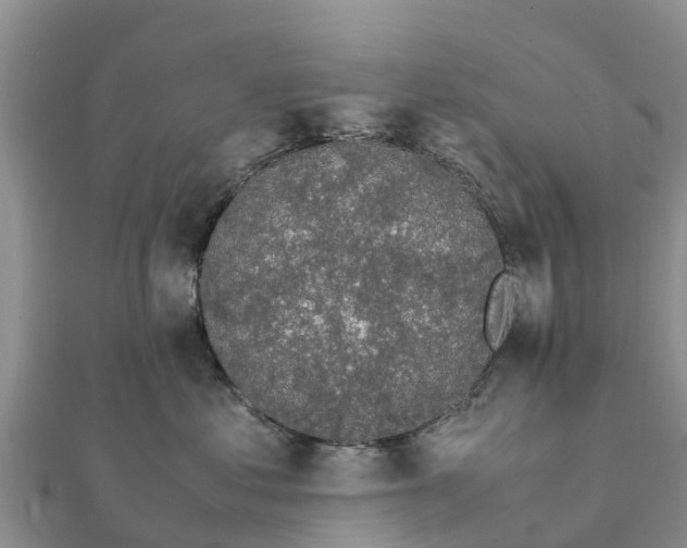 X0000112110621200908181349