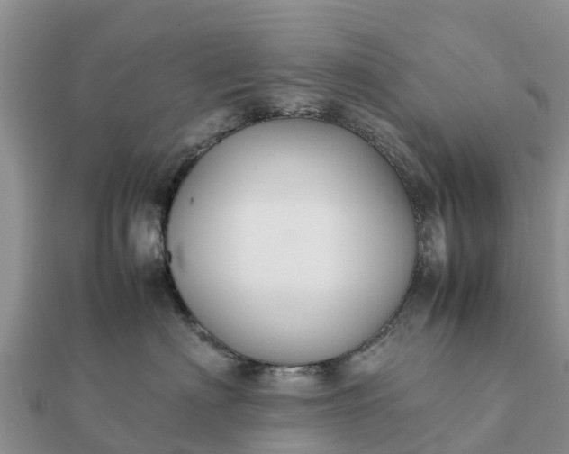 X0000112110622200908181349