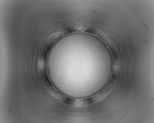 X0000112110623200908181349