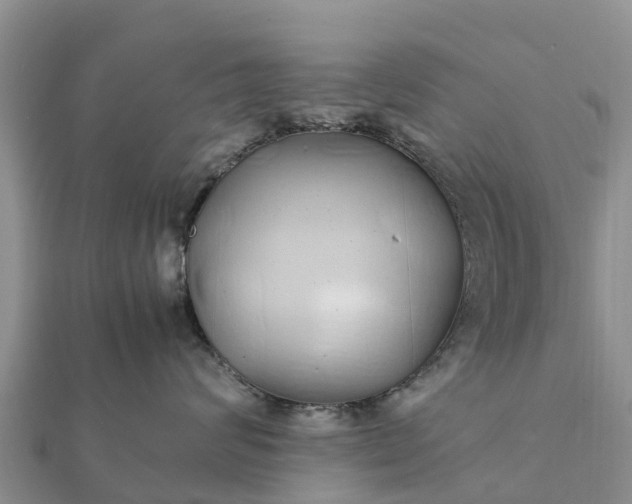 X0000112110624200908181349