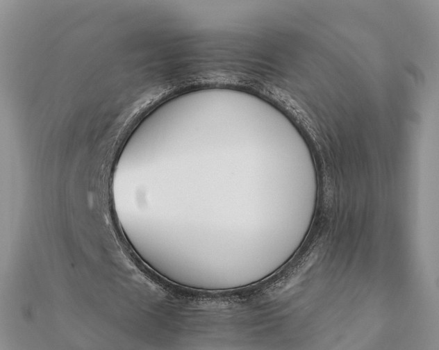 X0000112110625200908181348