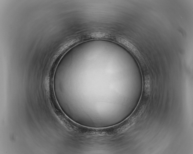 X0000112110626200908181348