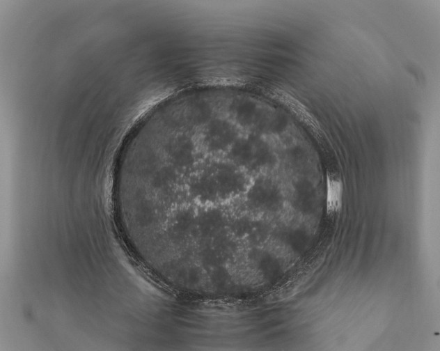 X0000112110627200908181348