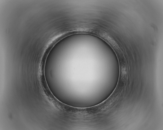 X0000112110628200908181348