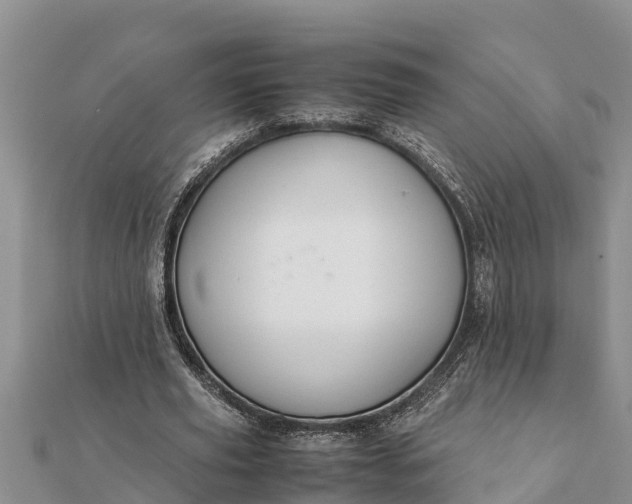 X0000112110629200908181348