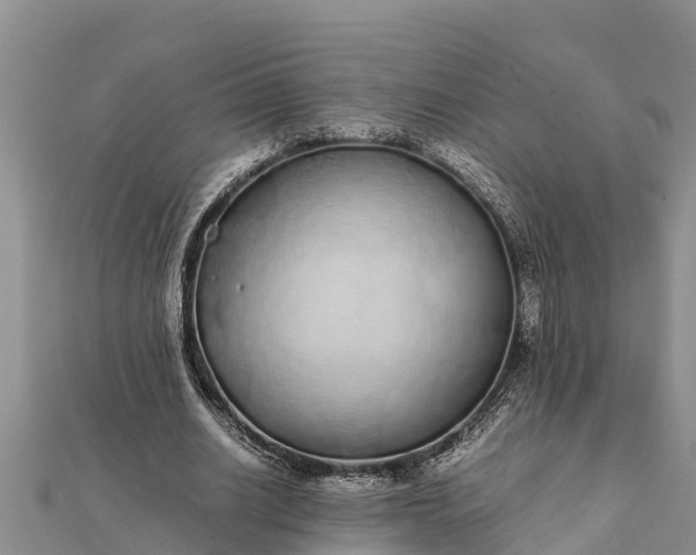 X0000112110630200908181348