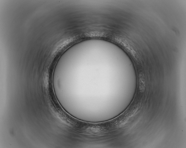 X0000112110631200908181348