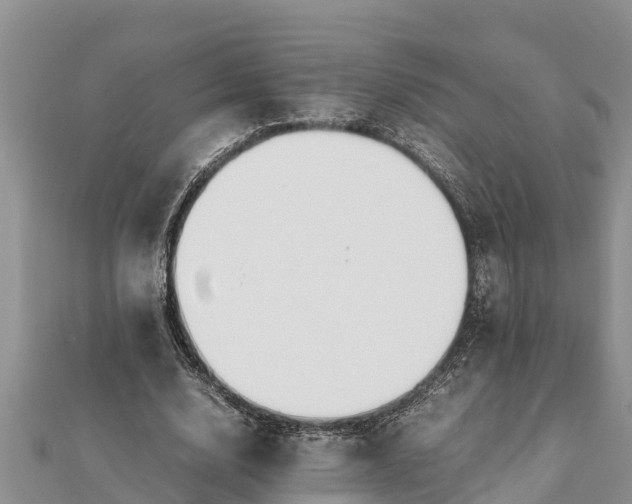 X0000112110632200908181348