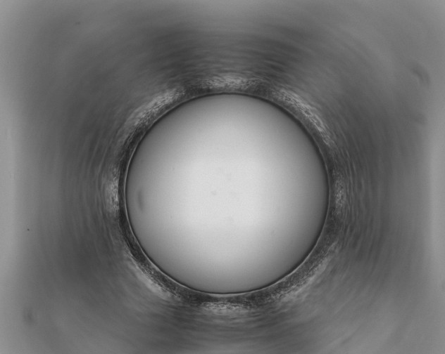 X0000112110633200908181348