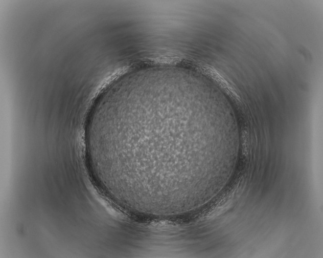 X0000112110634200908181348