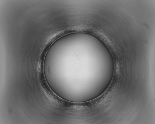 X0000112110636200908181348