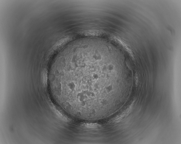 X0000112110637200908181348