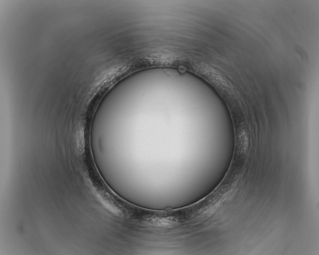 X0000112110638200908181348