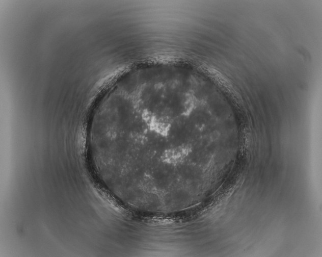 X0000112110640200908181348