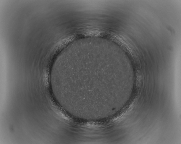 X0000112110641200908181348