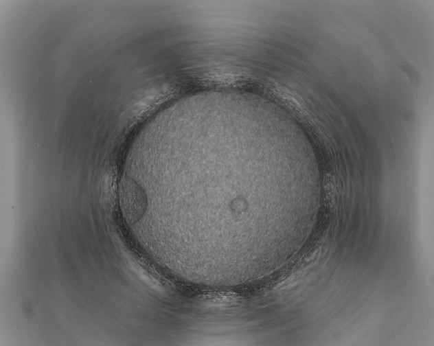 X0000112110642200908181348