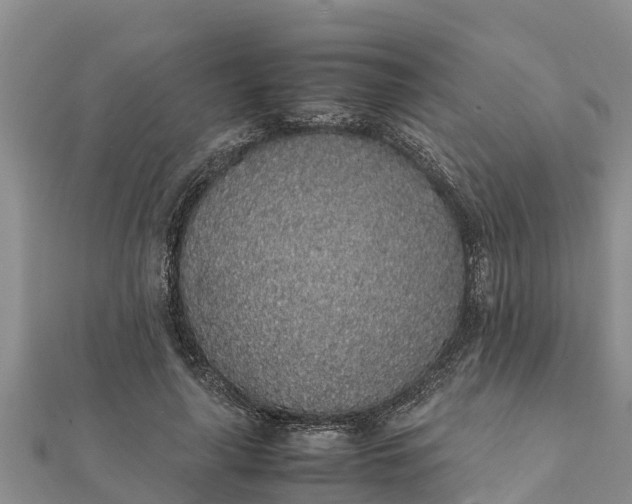 X0000112110643200908181348