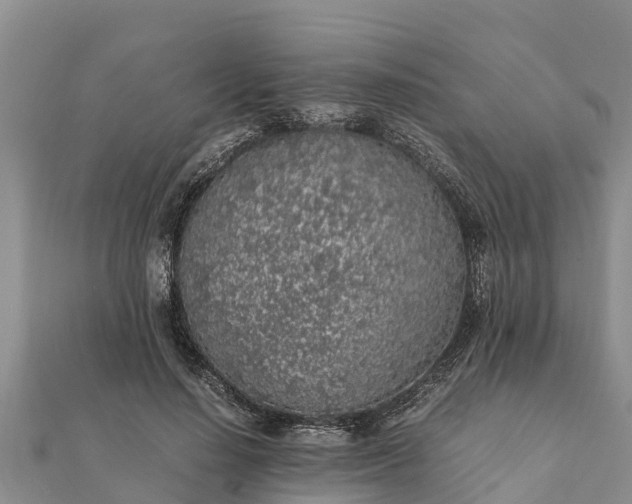 X0000112110644200908181348