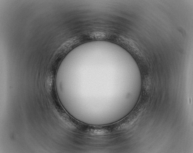 X0000112110645200908181348