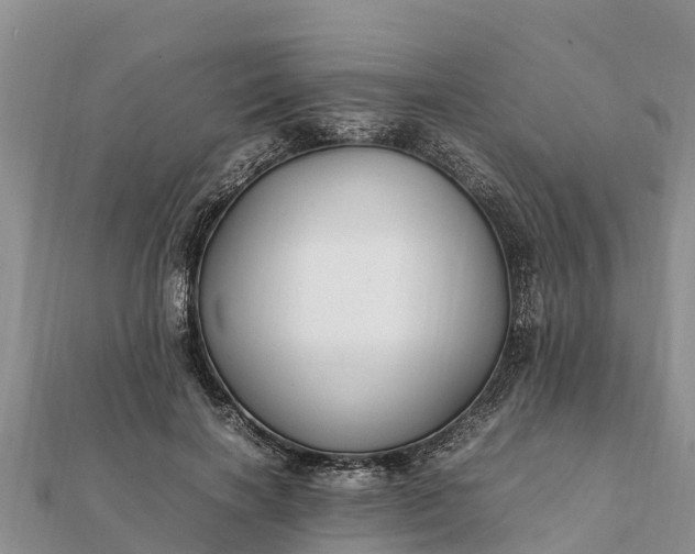 X0000112110646200908181348