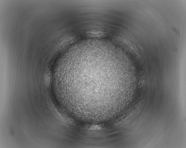 X0000112110647200908181348