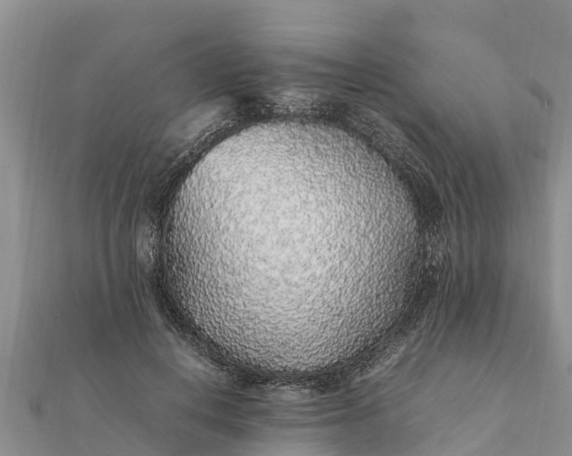 X0000112110648200908181348