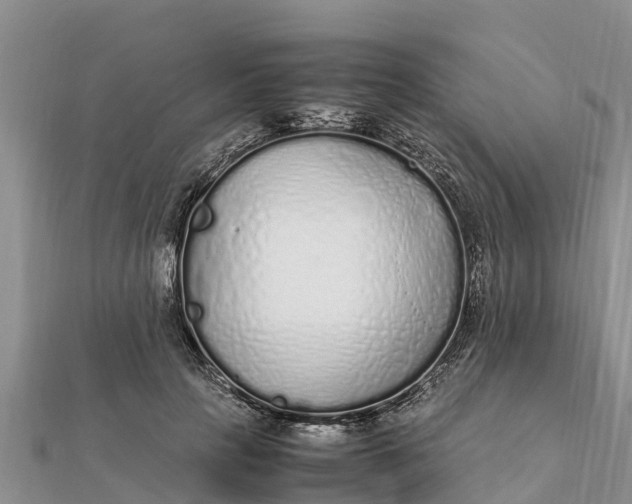 X0000112110649200908181348