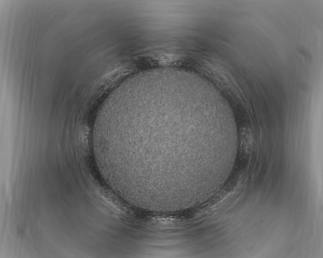 X0000112110650200908181348