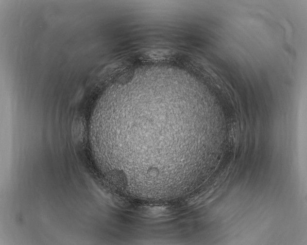 X0000112110651200908181348