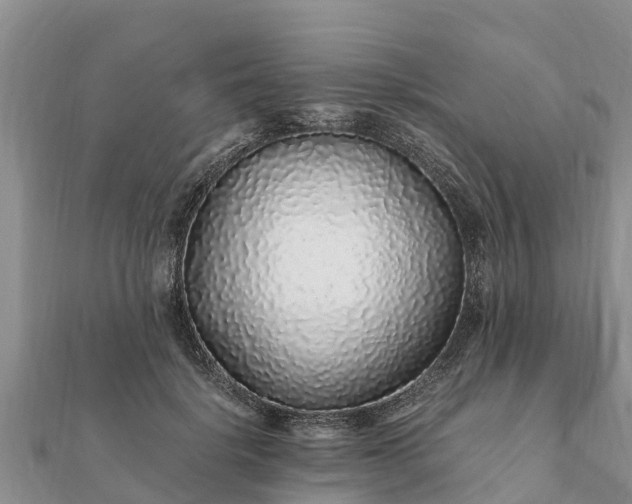 X0000112110652200908181348