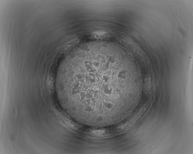 X0000112110653200908181348