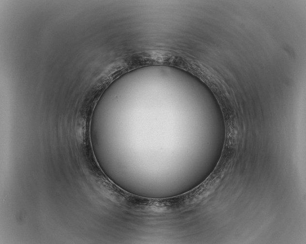 X0000112110656200908181348