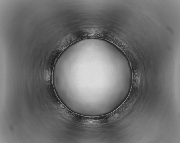 X0000112110657200908181349