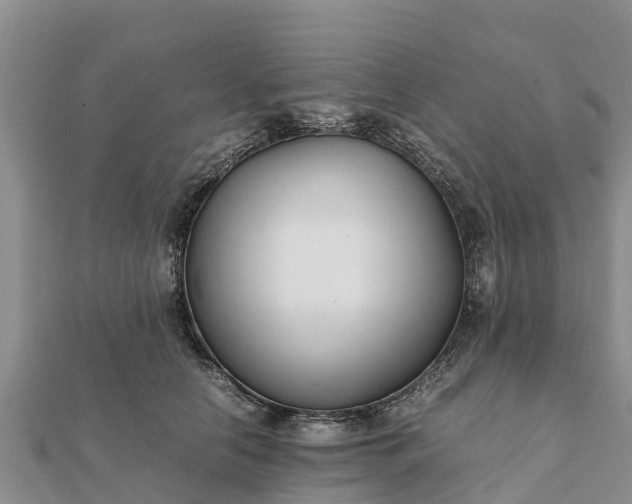 X0000112110658200908181349