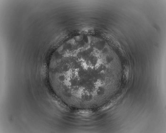 X0000112110659200908181349