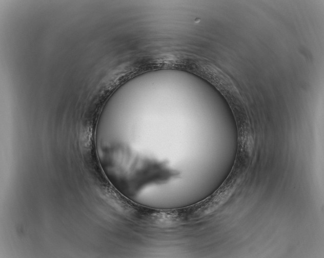 X0000112110660200908181349