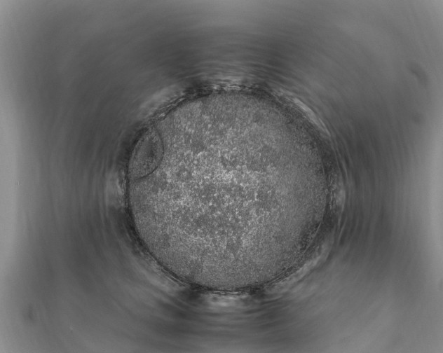 X0000112110661200908181349