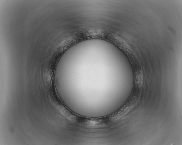 X0000112110662200908181349