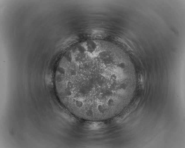 X0000112110663200908181349