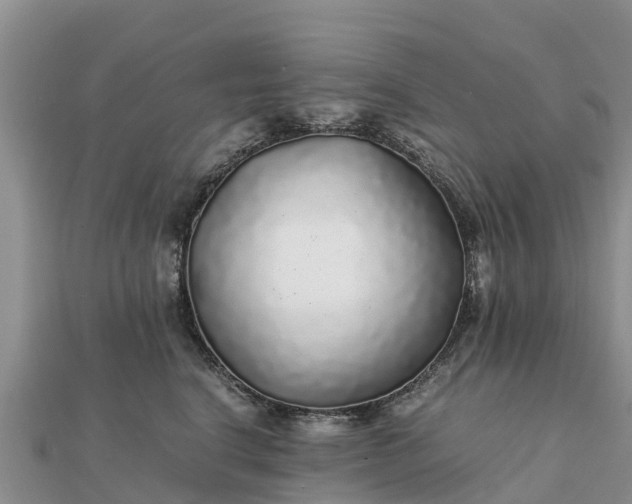 X0000112110664200908181349