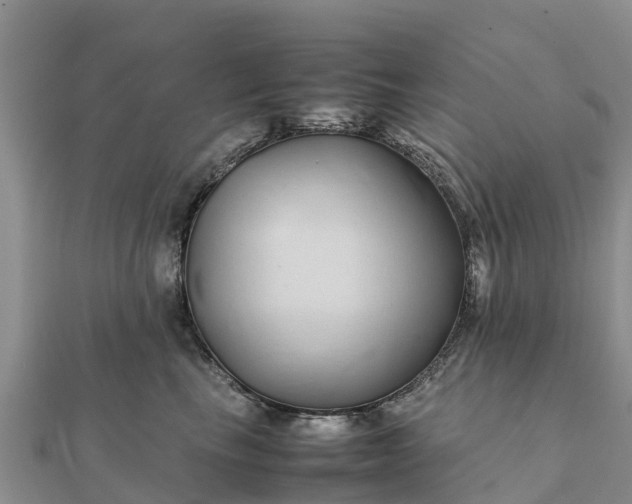 X0000112110665200908181349