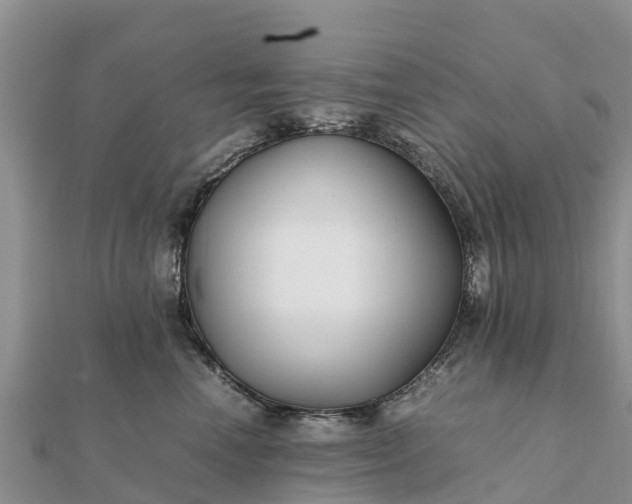 X0000112110666200908181349