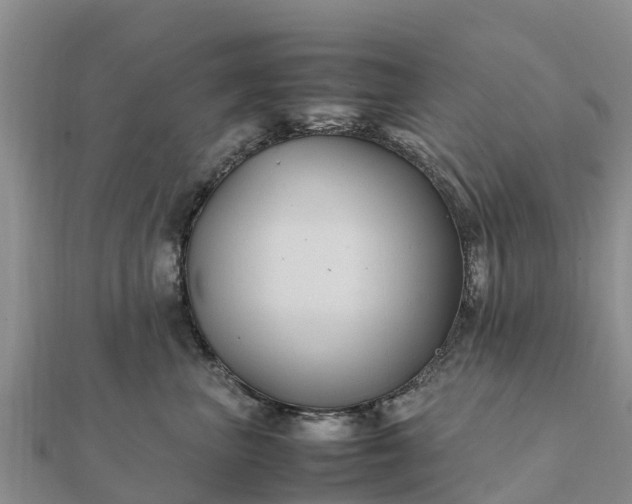 X0000112110667200908181349