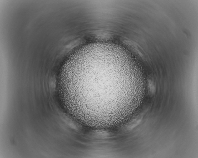 X0000112110668200908181349