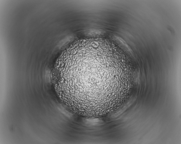 X0000112110669200908181349