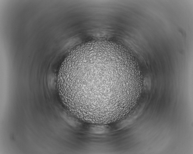 X0000112110671200908181349